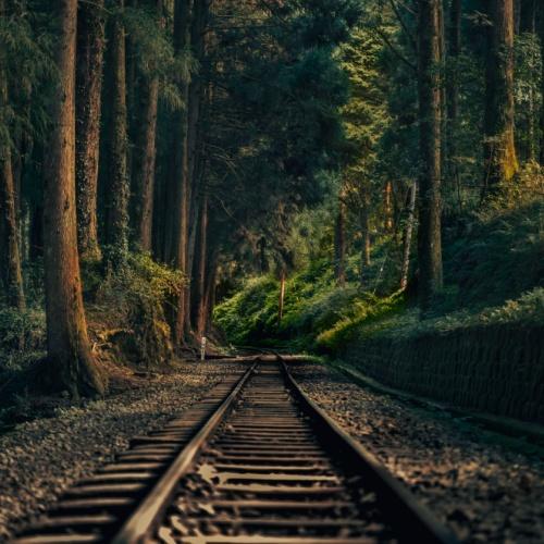 Treinrails Alishan NP