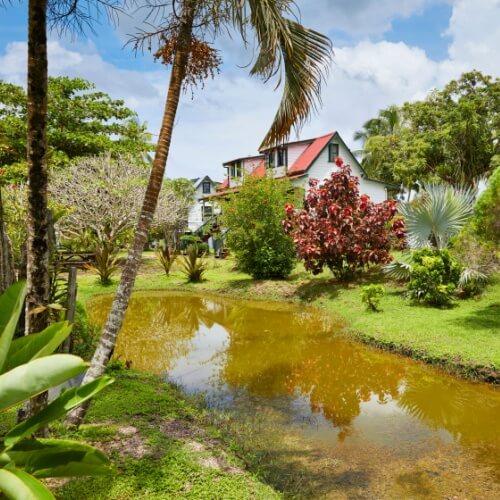 Plantage, Suriname