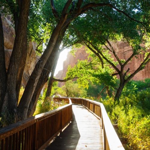 Wandelroute in Capitol Reef National Park