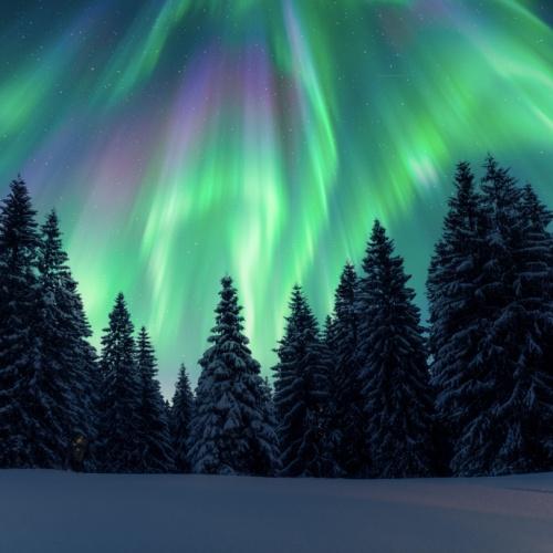 Noorderlicht Finland