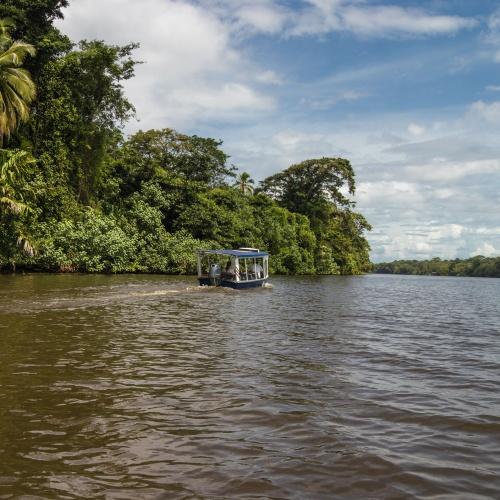 Boottocht Tortuguero
