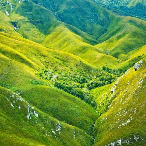 Outeniqua Pass