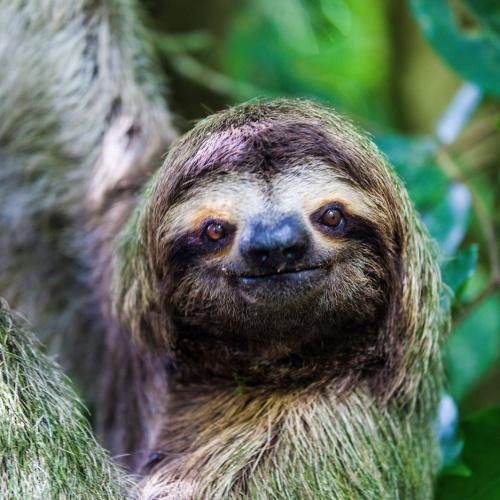 Manuel Antonio Nationaal Park