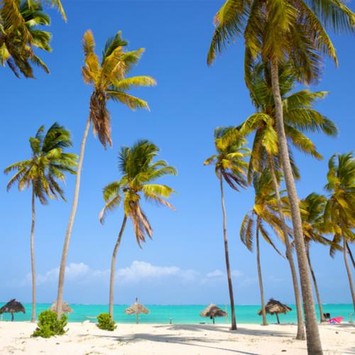 Zanzibar