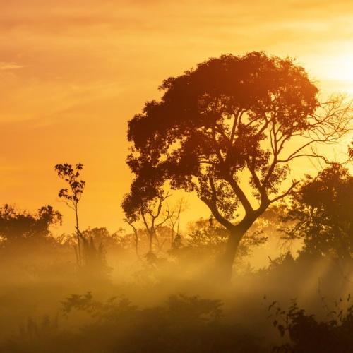 Zonsondergang in Pantanal