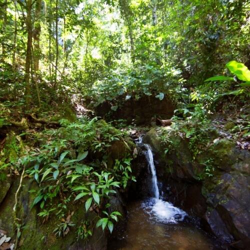 Brownsberg Nationaalpark, waterval
