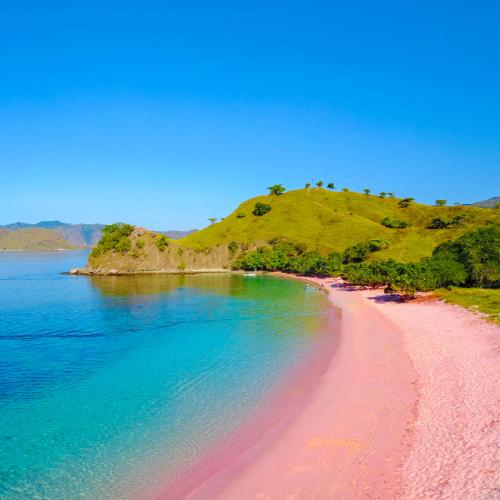 Flores, Pink Beach (Komodo Island)