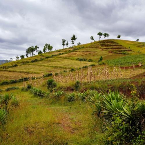 Antsirabe