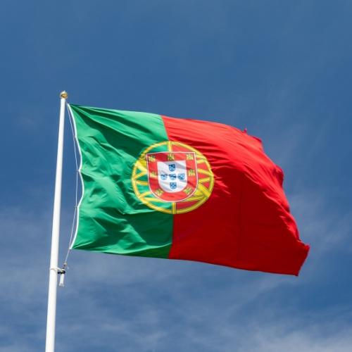 Portugese vlag