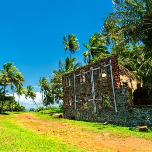 Frans Guyana