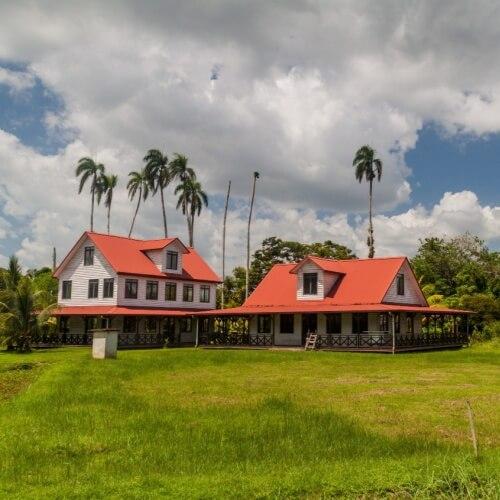 Peperpot, Suriname