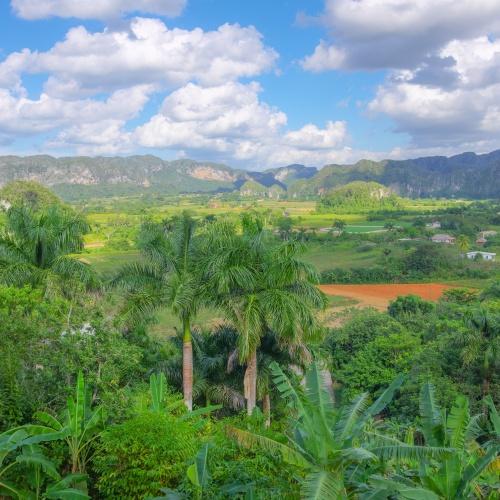 Cubaans tropisch landschap
