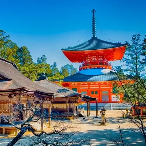 Tempelcomplex Danjo Garan en hoofdtempel Kongobu-ji (optioneel)