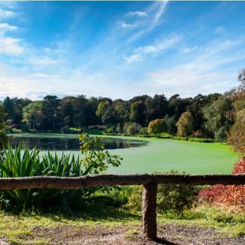 Mount Stewart Gardens