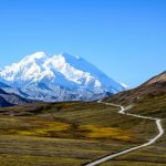 Denali Nationaal Park