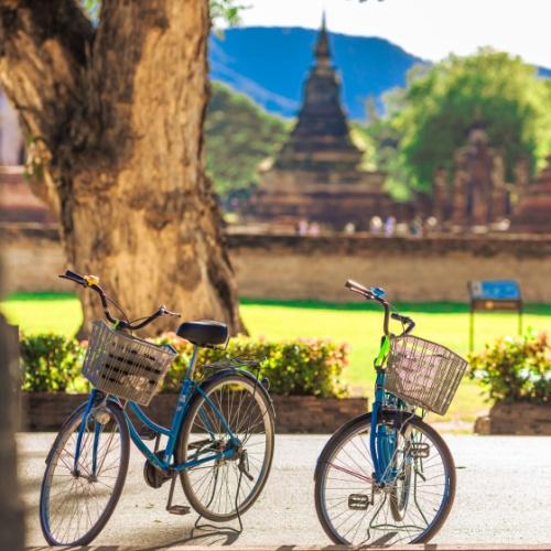 Dag11fietsenSukhothai.jpg