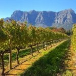 Stellenbosch