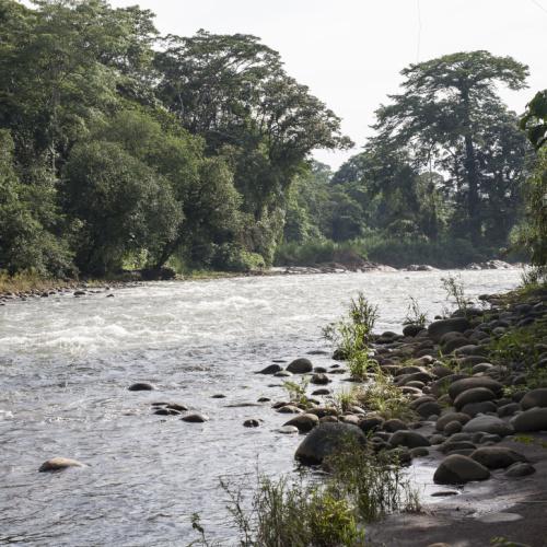 Puerto Viejo de Sarapiquí