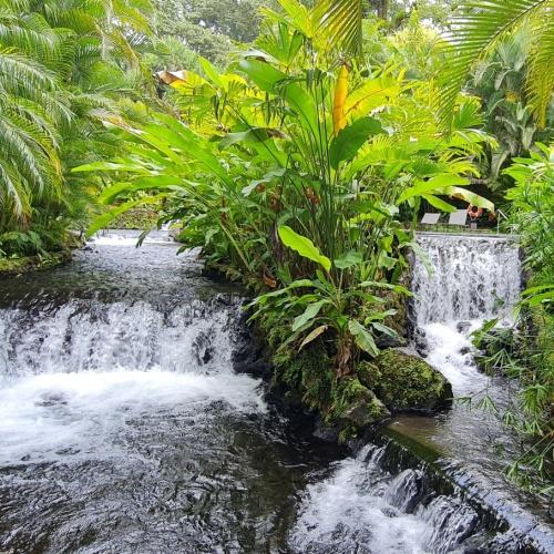 Warmwaterbronnen in La Fortuna