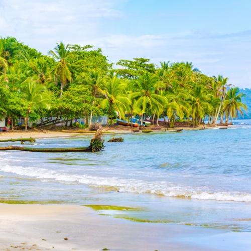 Puerto Viejo de Talamanca