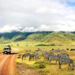 Ngorongoro Nationaal Park