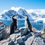 Antarctica