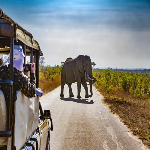4x4 safari Zuid-Afrika