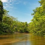 Ca&ntilde;o Negro