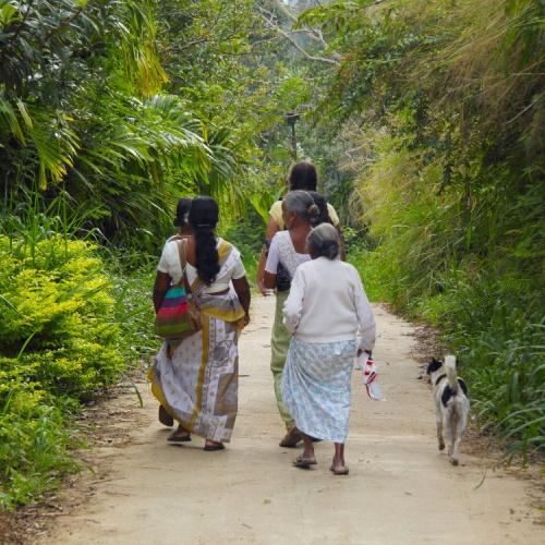 Village tour in Hiriwadunna