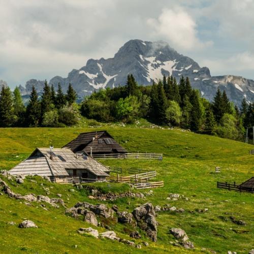 Velika Planina