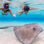 Stingray City