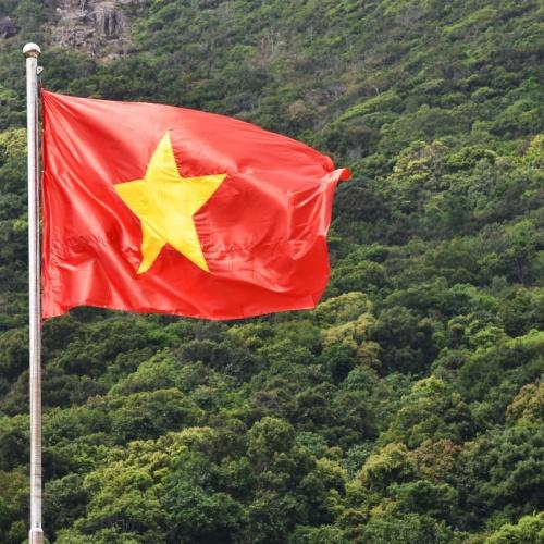 Vietnamese vlag