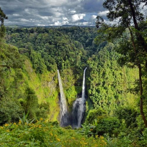 Bolaven Plateau, Tad Fane
