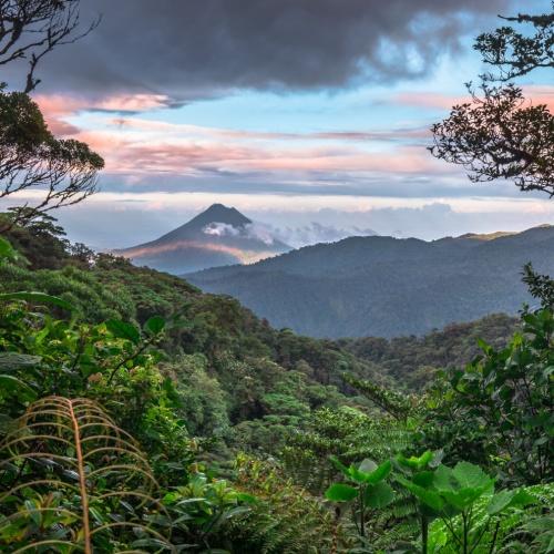 Het mystieke nevelwoud van Monteverde met zicht op Vulkaan Arenal