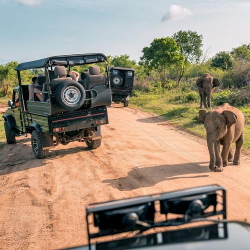 Yala Nationaal Park