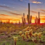 McDowell Sonoran Preserve, Phoenix