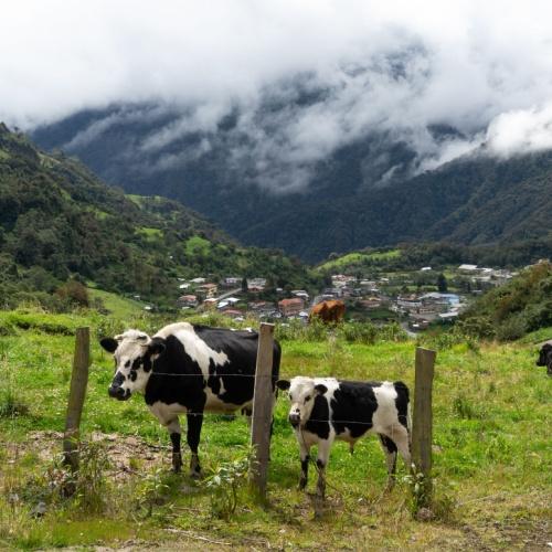 Papallacta