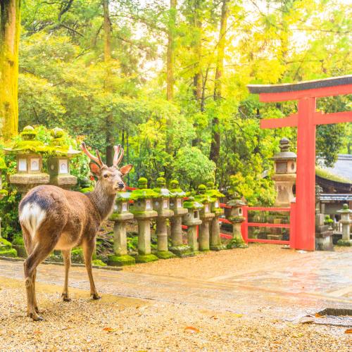 Nara