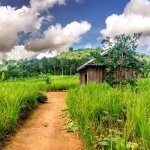 Phnong stam