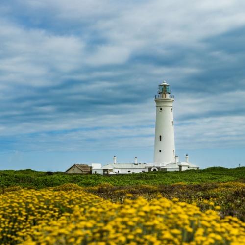 Seal Point-vuurtoren, Cape St. Francis