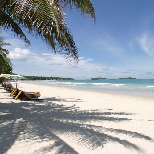 Wit zand en palmboom Hua Hin