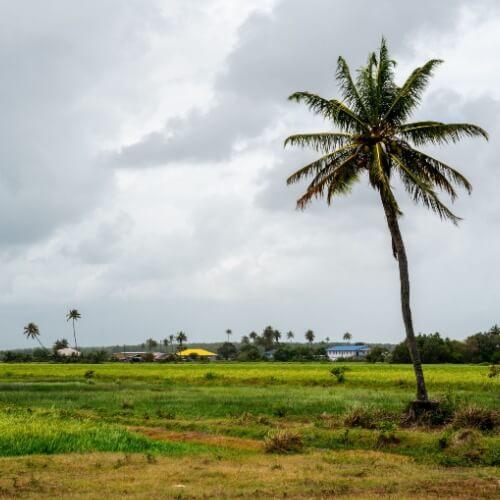 Nieuw Nickerie, Suriname