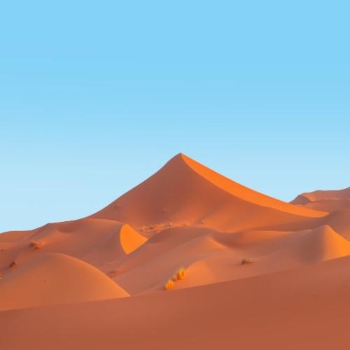 Marokko, Sahara