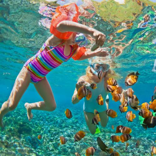 De onderwaterwereld van de Similan eilanden ontdekken