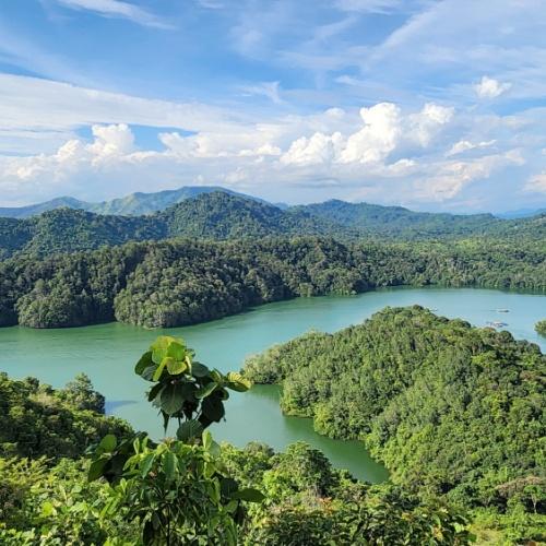 Natuurschoon van Borneo