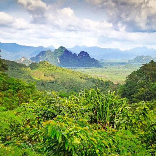 Khao Sok Nationaal Park