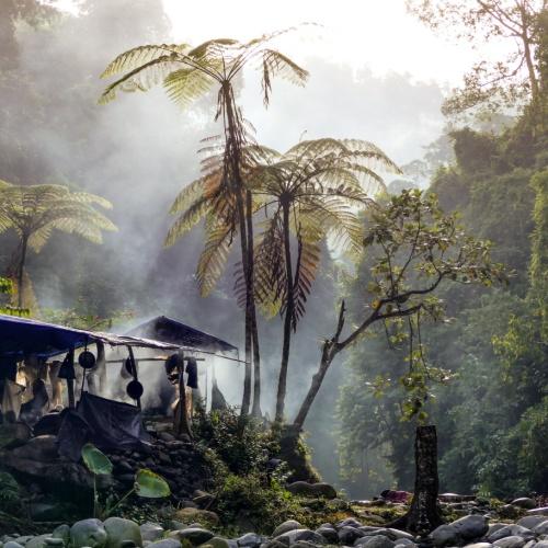 Jungle van Gunung Leuser National Park