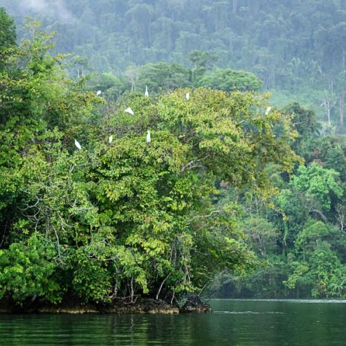 Río Dulce