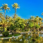 Palmeral de Elche, Cartagena