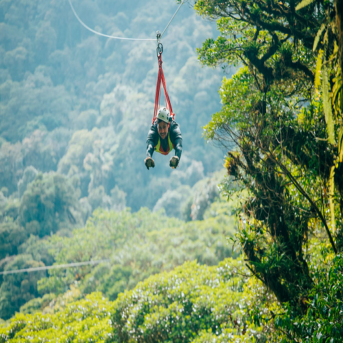 Monteverde - Kabelbaan tour 